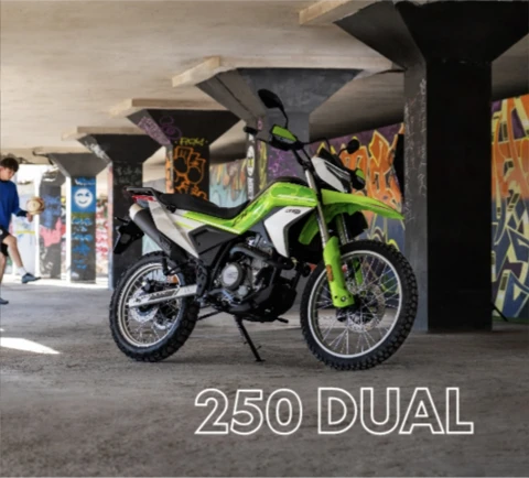 250 Dual